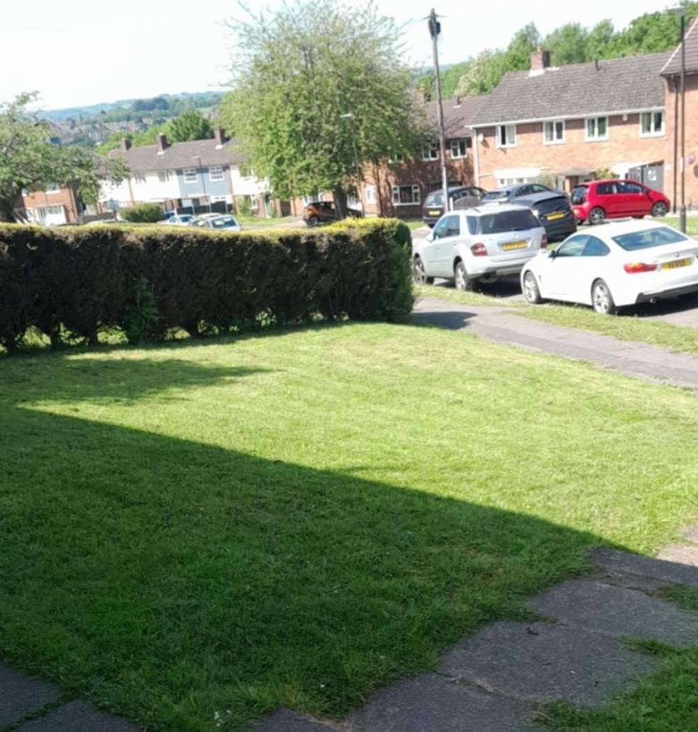 Neatly mown lawn after garden service